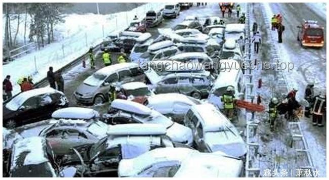 兩老人送孫子上學遇車禍悲劇：交通安全與社會應對的未來趨勢
