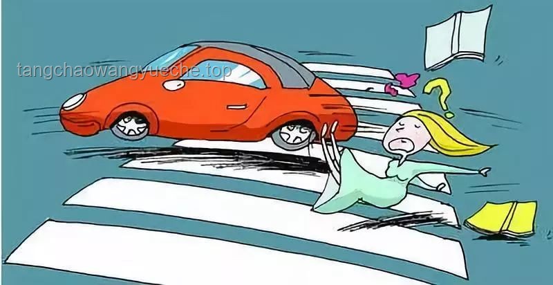 兩老人送孫子上學遇車禍悲劇：交通安全與社會應對的未來趨勢