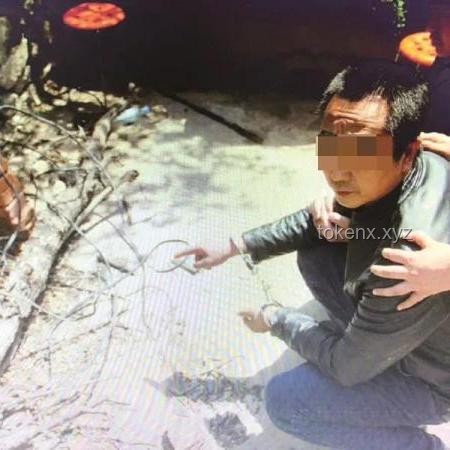 丈夫偽造車禍殺妻與正常車禍報警求助的對比分析：人性、法律與社會影響