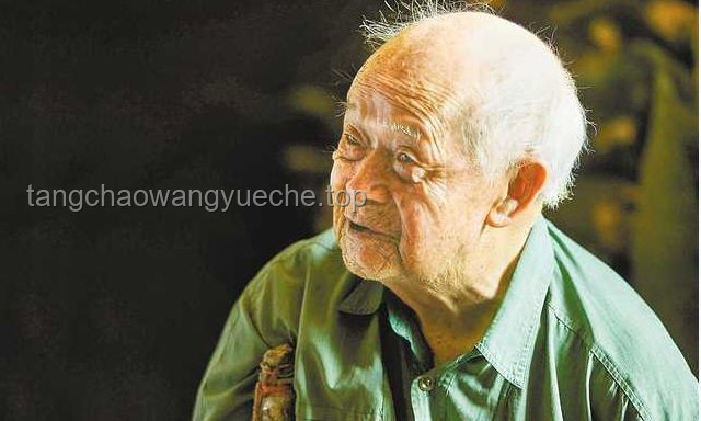 “誰能給墨索里尼刨墳？”——神奇組織31與其他潛在執行者的對比分析
