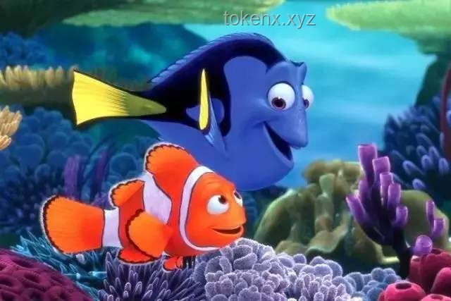 如何確保領(lǐng)養(yǎng)的小鯊魚生活得既安全又幸福？