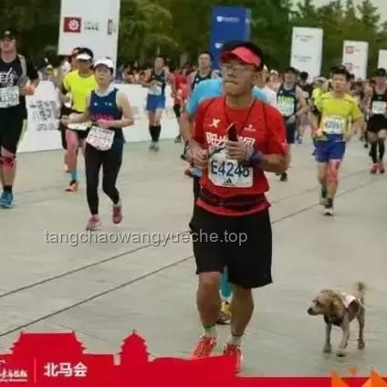 **第一批跟風跑馬拉松的人，已經在康復科了：馬拉松運動風險與科學準備**