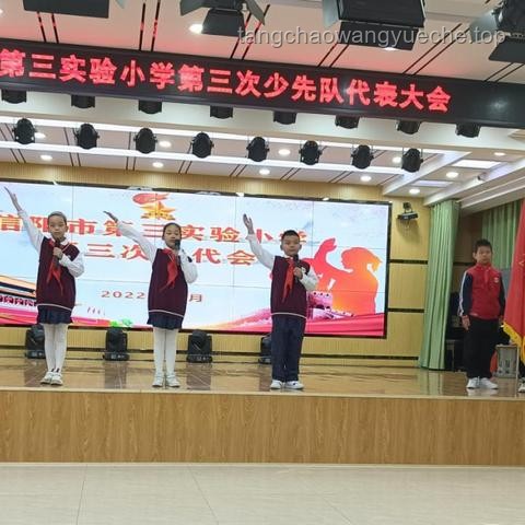 推動少先隊事業不斷取得新成績的實用指南