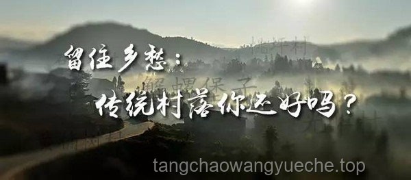 “莊大下線”：《藏海傳》劇情轉折點的深度剖析