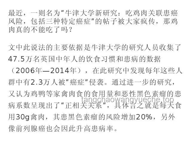 鴨子吃浮漂行為的生態觀察與行為學解析