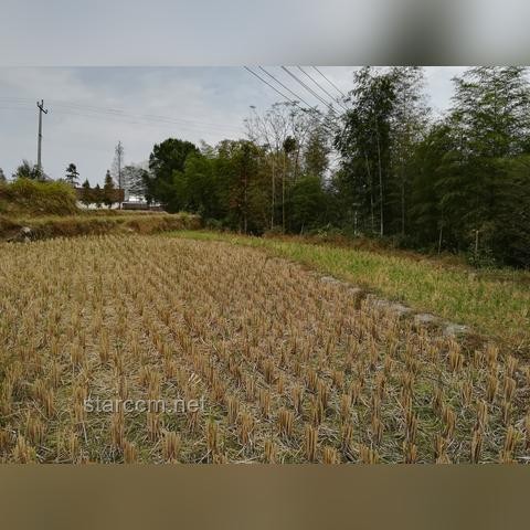 老牛會武功引發(fā)家庭安全危機案例研究
