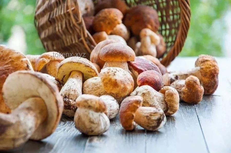天生自帶鮮味的食材大比拼：海鮮、菌菇、肉類與蔬菜的鮮美對決