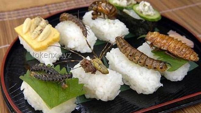 奇葩美食治愈之旅：解鎖精神內耗新療法