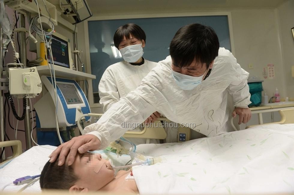 朱媛媛捐贈眼角膜及遺產傳聞的澄清與應對方案