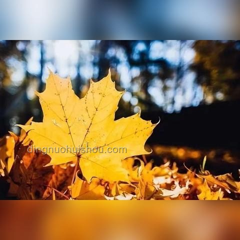 真正厲害的父母，從不用小事內耗孩子：深度解析家庭教育的智慧與策略