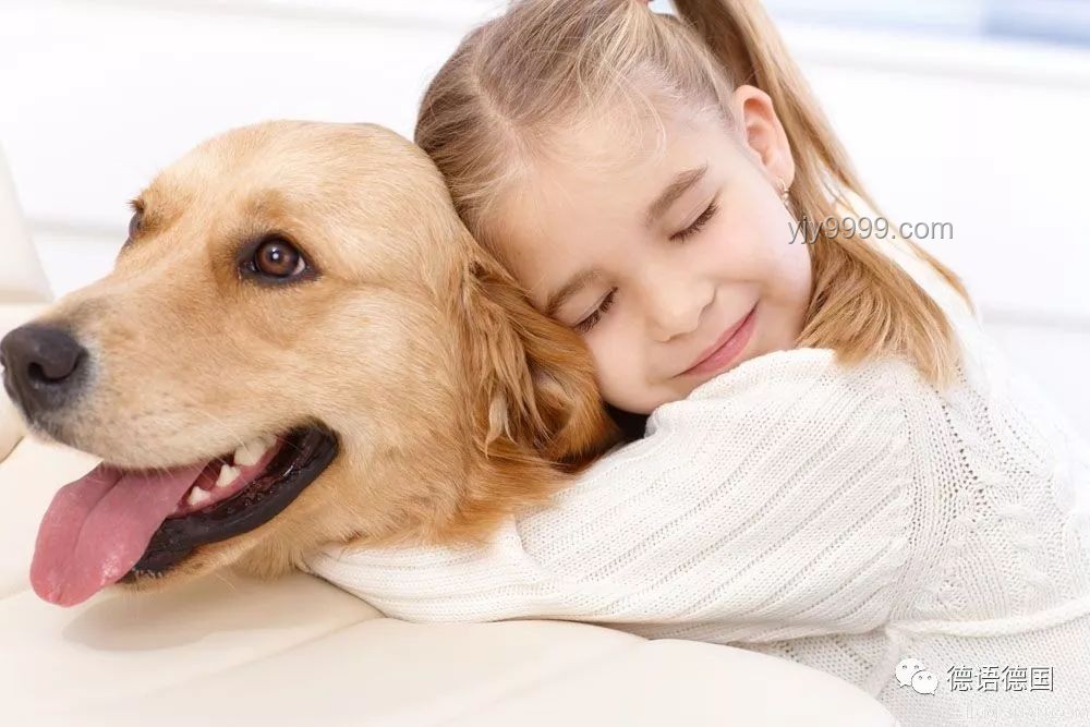 **警犬老將的心聲：帶實習生的那些事兒??**