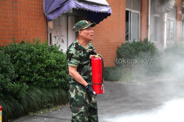 警犬帶實習生實操指南：如何高效協作與安全訓練