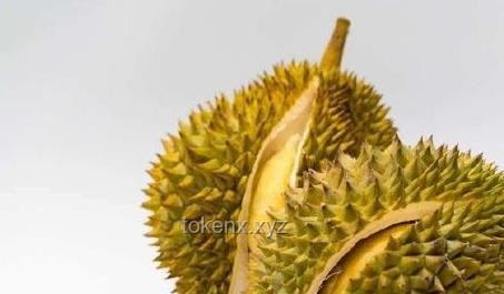 **游客在新加坡酒店吃榴蓮被罰千元：規定嚴苛與文明塑造的深度剖析**