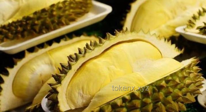 **游客在新加坡酒店吃榴蓮被罰千元：規定嚴苛與文明塑造的深度剖析**