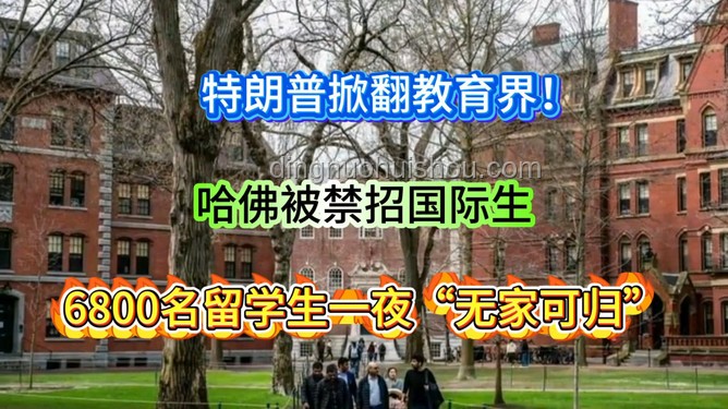 哈佛“國(guó)際禁招令”風(fēng)波：一場(chǎng)教育界的“過(guò)山車”經(jīng)歷