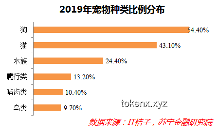 哈佛“國(guó)際禁招令”被叫停：政策風(fēng)波背后的多維度對(duì)比分析