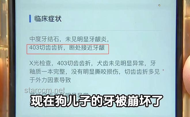 女子立遺囑給寵物狗留遺產：遺產規劃新趨勢與寵物繼承權探討