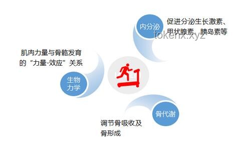 幼兒園跳繩訓(xùn)練新趨勢：簡單易懂的指導(dǎo)策略助力孩子快速掌握