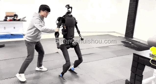 人形機器人時代：2040年，人與機器的共舞新篇章 ??, 預測未來, 創新思維, 人機協作