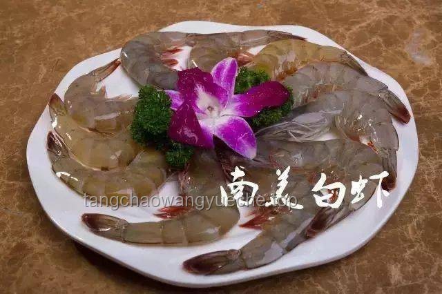 天生自帶鮮味食材大比拼：海鮮、菌菇、肉類與蔬菜的鮮味對決