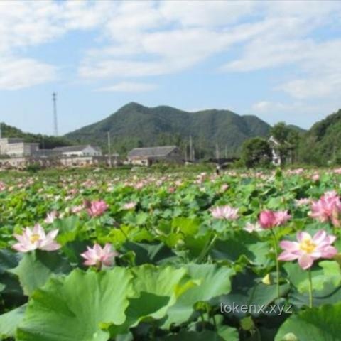 旅游的意義探索：除了照片，你還收獲了哪些無價之寶？