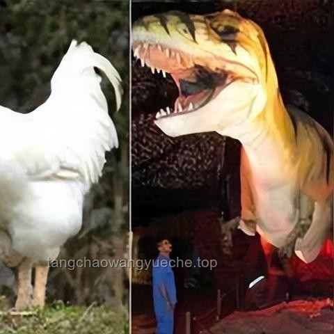如果雞是恐龍的后代，它們保留了哪些恐龍時(shí)代的特征？???? 生物學(xué)探秘, 恐龍遺跡, 鳥(niǎo)類(lèi)進(jìn)化, 科學(xué)推理, 自然奧秘