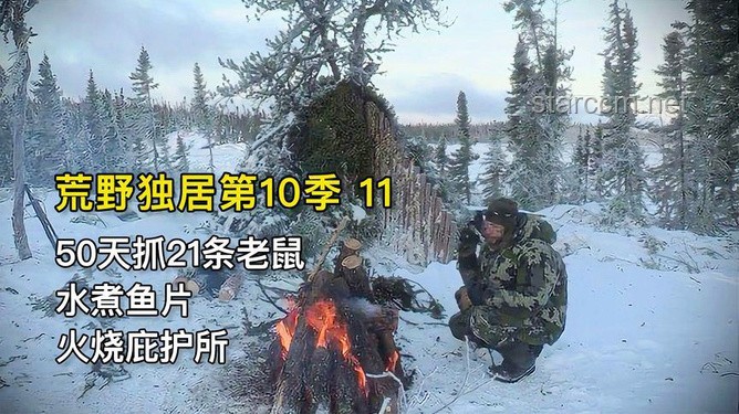荒野冒險(xiǎn)興起：UP主雨林求生的行業(yè)洞察