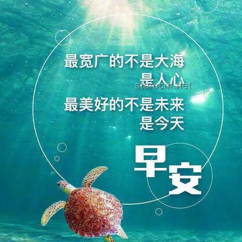 在深淵里起舞，在崩潰中舉杯：探索逆境中的積極心態與自我救贖