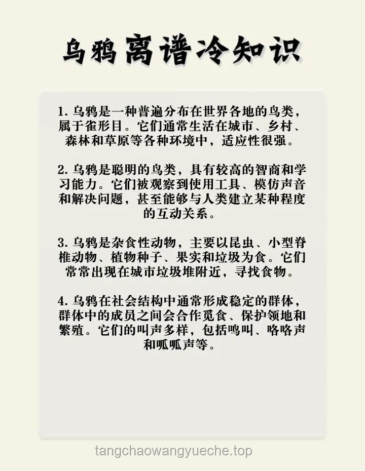 ??反轉認知：烏鴉——益鳥？害鳥？還是生態智慧的使者？