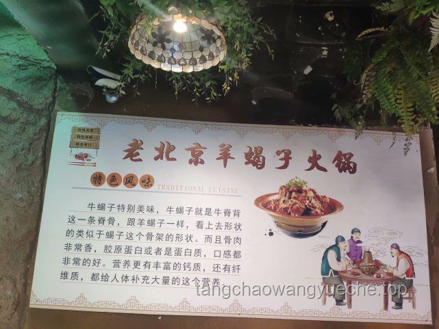 一個注重健康的人如何成為家庭的希望之光：張家的故事