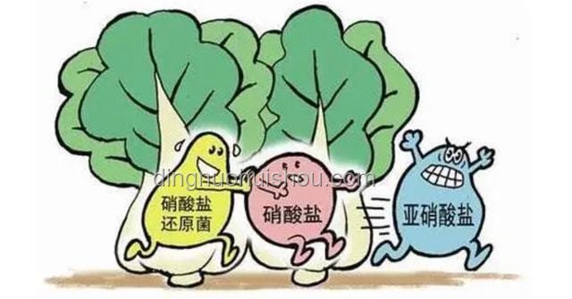 **小伙誤食不當食物，尿液竟變藍色！亞硝酸鹽中毒親身經歷分享**