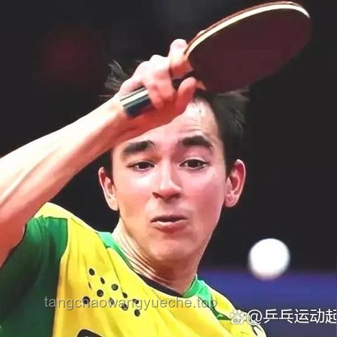 **樊振東與莫雷加德：從對手到隊友的榮耀之旅**