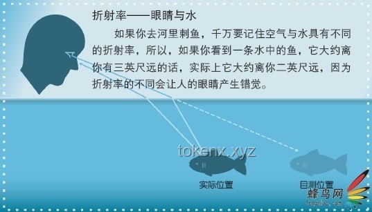 探究早到現(xiàn)象：50歲同事6-7點上班的心態(tài)剖析