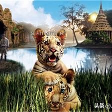 印男子泰國景區摸老虎屁股遭撲咬：安全游覽野生動物區指南