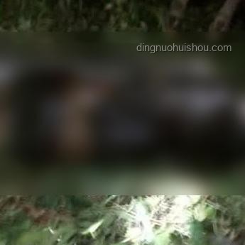 國足出征印尼25人大名單與球員實力分析