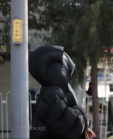 黃楊鈿甜藝考合格背后的錄取真相：深度解析藝考生態