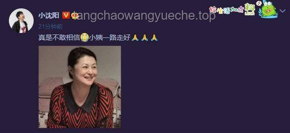 一開始，新舊項目啟動情感對比：自豪與感動并存