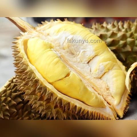 經(jīng)期多吃榴蓮能否緩解痛經(jīng)？