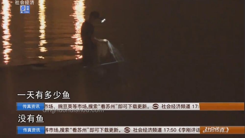 用科技溫情，重塑與老人聊天的藝術??,數字橋梁,情感共鳴,智能陪伴