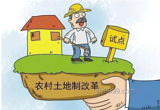 10后小學生教育趨勢：鄉村助教視角下的變革與前瞻