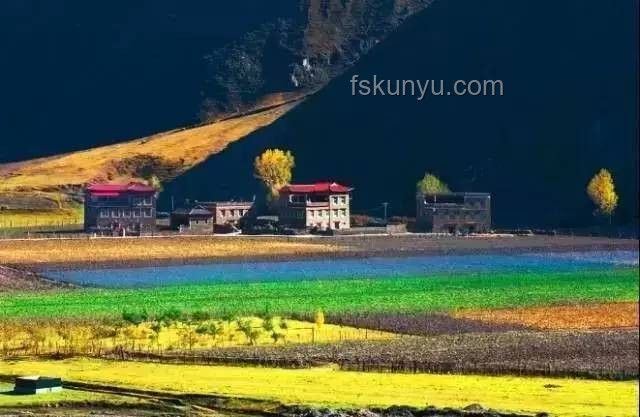 茫崖綠動未來：尕斯庫勒湖畔的旅游與生態新趨勢