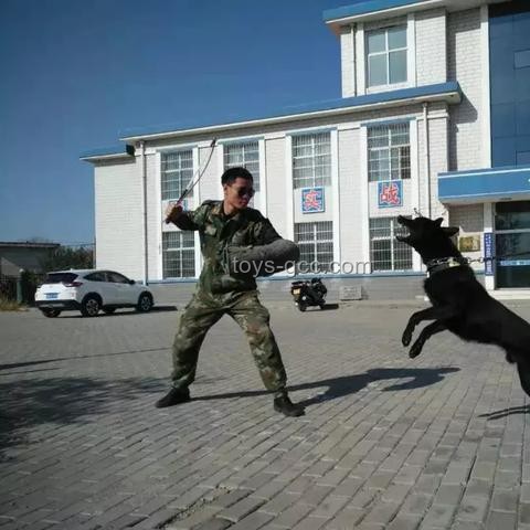高考行業深度洞察：加油逐夢，夢想成真之路