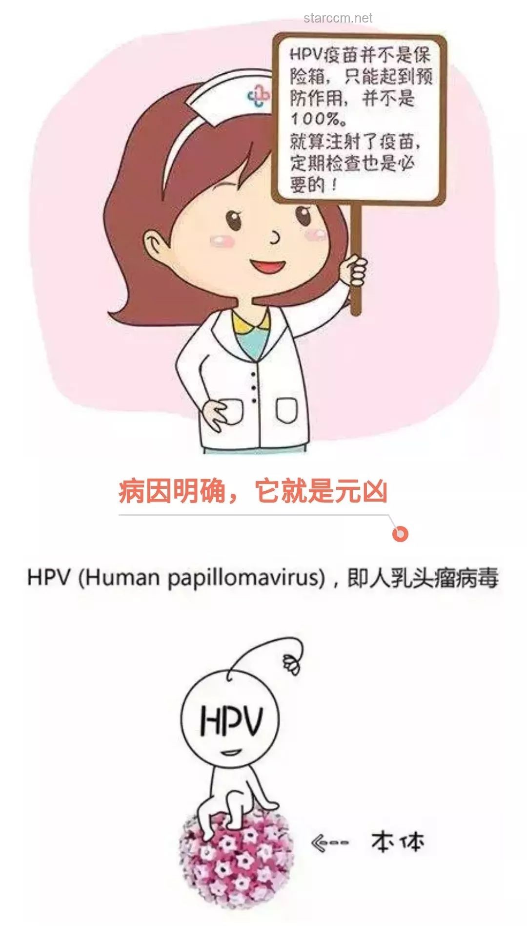 ??國產九價HPV疫苗獲批，健康守護新選擇！
