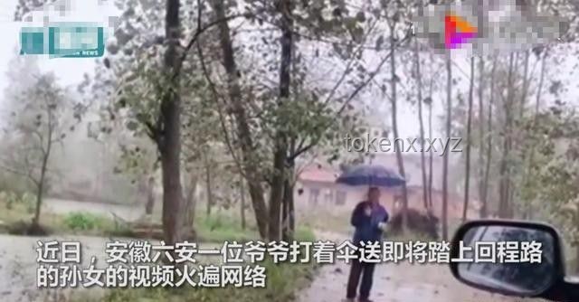 偉大母愛VS個人犧牲：雨中撐傘行為的對比分析