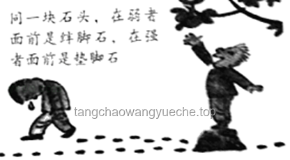如何擺脫被視為弟弟備用器官的困境，展現武道天才本色