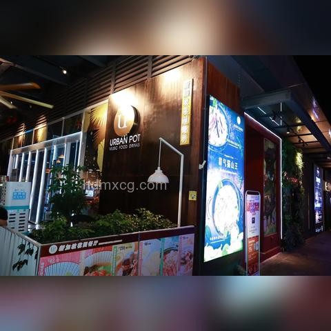 雨林探險直播熱興起，UP主生存挑戰成新趨勢