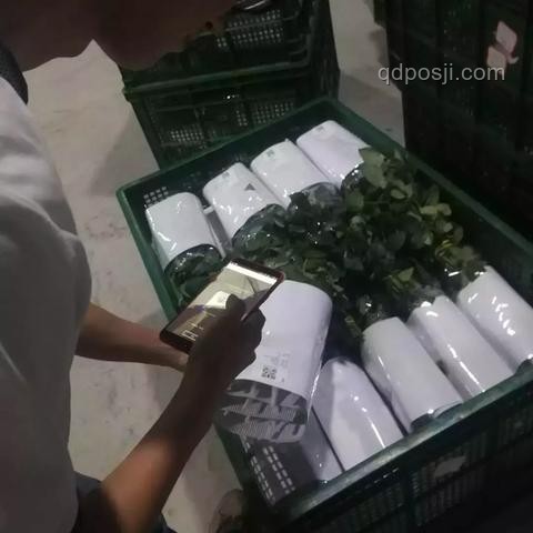 戀愛秘籍：一束花與正式告白的浪漫啟程????