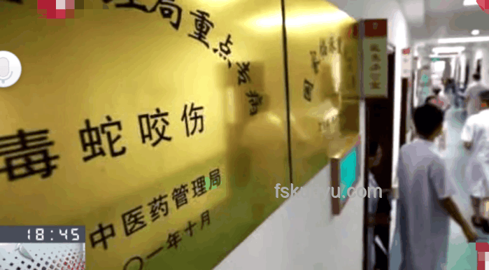 女子疑被蛇咬死家屬應(yīng)對(duì)指南：了解尸檢重要性及流程