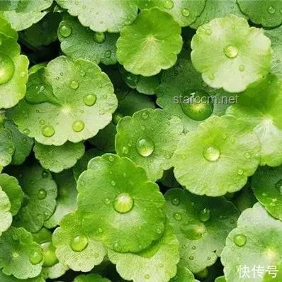 40℃高溫生存指南，應對酷夏必備知識