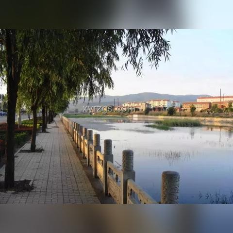 決戰(zhàn)貓貓之顛：全面攻略與實(shí)戰(zhàn)技巧